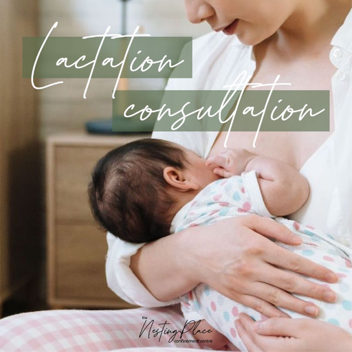 Lactation Consultation